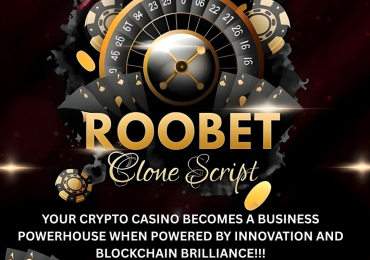 Fast-Track Your Crypto Casino Venture with Roobet Clone Script