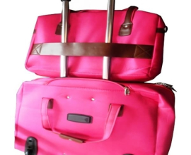 2-Wheeled Trolley Luggage