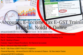 AI vs. Accountants: Why Human Expertise Will Still Be in Demand in 2025, 100% Job, Best Accounting Course in Delhi, 110090 –  Free SAP FICO Certification by SLA Consultants India, GST Certification, ITR & DTC Classes with 2025 Update, Tally Prime Certification