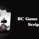 Expand Your Gaming Business with a Reliable and Secure BC Game Clone Script