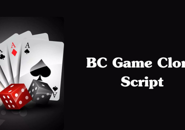 Expand Your Gaming Business with a Reliable and Secure BC Game Clone Script