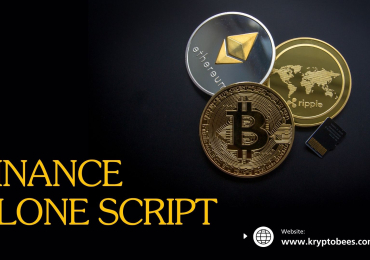 Launch Faster, Trade Smarter with a Binance Clone Script