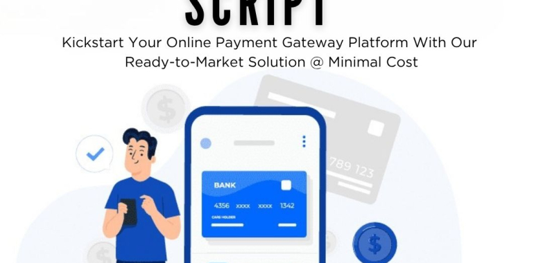 Affordable Yet Powerful – Payment Gateway Script at a Startup-Friendly Price