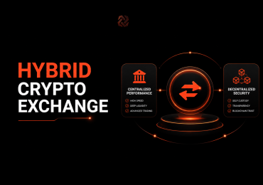 Start Your Own Hybrid Crypto Exchange with Advanced Trading Features