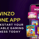 WinZO Clone App for Dynamic Multi-Game Experiences