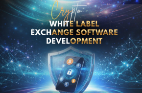 Power Your Crypto Startup with White Label Exchange Software
