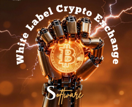 The Secret Strategy Behind High Growth Crypto Exchange Startups