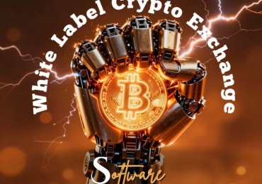 The Secret Strategy Behind High Growth Crypto Exchange Startups