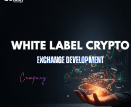 Power your crypto startup with Beleaf Technologies.