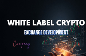 Power your crypto startup with Beleaf Technologies.