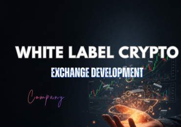 Power your crypto startup with Beleaf Technologies.