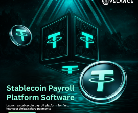 Stablecoin Payroll Platform Software – Launch Payroll System in 10 Days