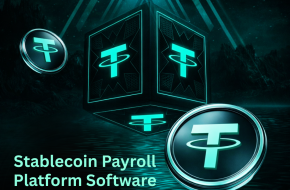 Stablecoin Payroll Platform Software – Launch Payroll System in 10 Days
