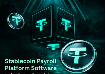 Stablecoin Payroll Platform Software – Launch Payroll System in 10 Days
