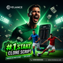 #1 Stake Clone Script – Online Casino & Sports Betting Software Solutions